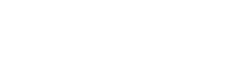 VOX Digital Agency