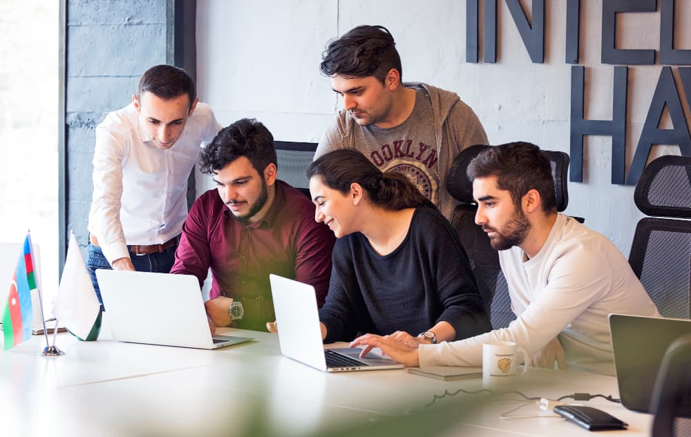 Custom Web Applications — VOX Digital Agency
